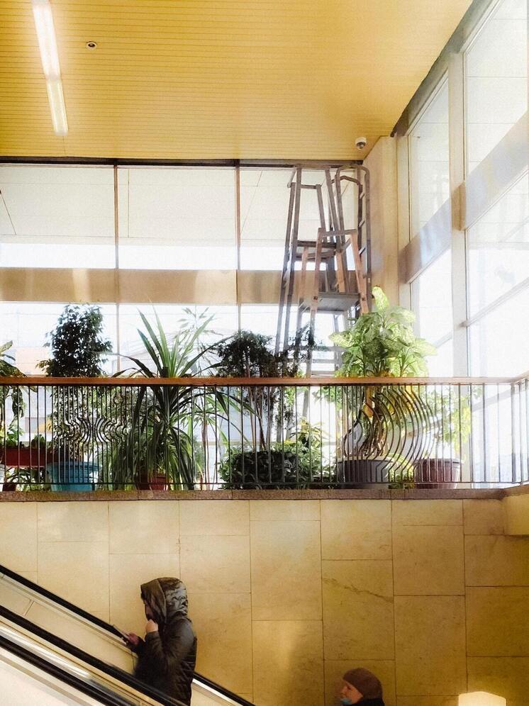 Госдуме предложили новый способ защиты от мошенничества при продаже жилья