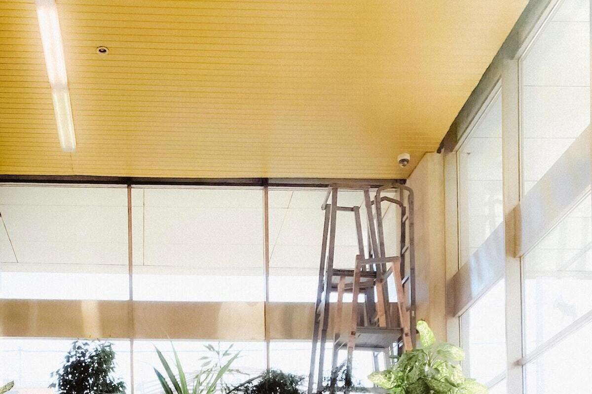 Госдуме предложили новый способ защиты от мошенничества при продаже жилья