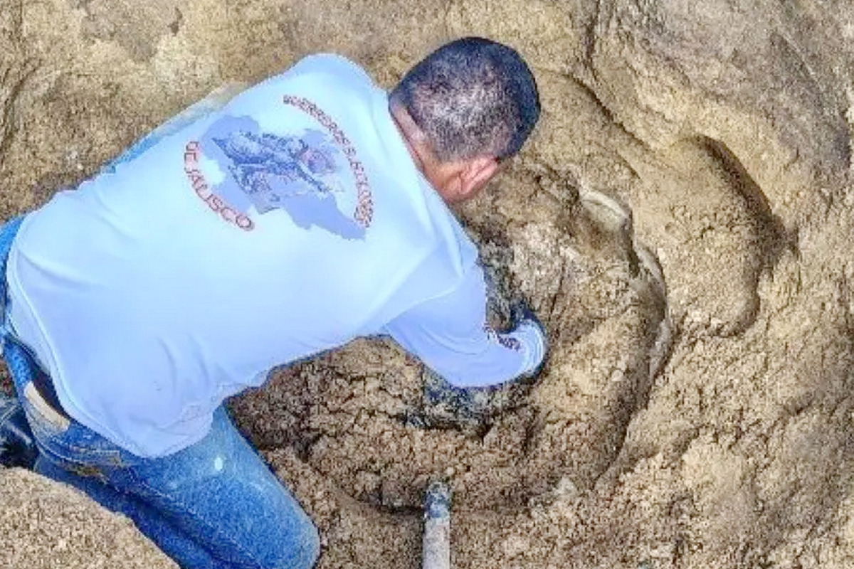 Раскрыты подробности ужасной находки 48 мешков с человеческими останками