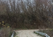 В Орловской области на территории Ливенского района построили мост и дорогу