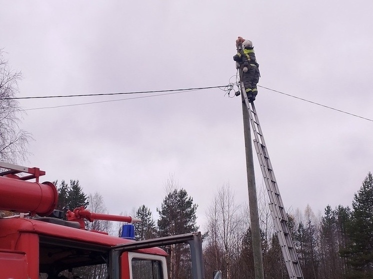 Пожарные в Карелии спасли замерзающего на столбе кота