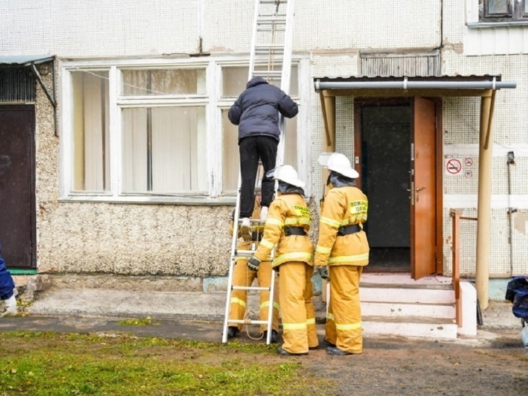Добровольцы в Вепсском поселении Карелии приступят к тушению пожаров
