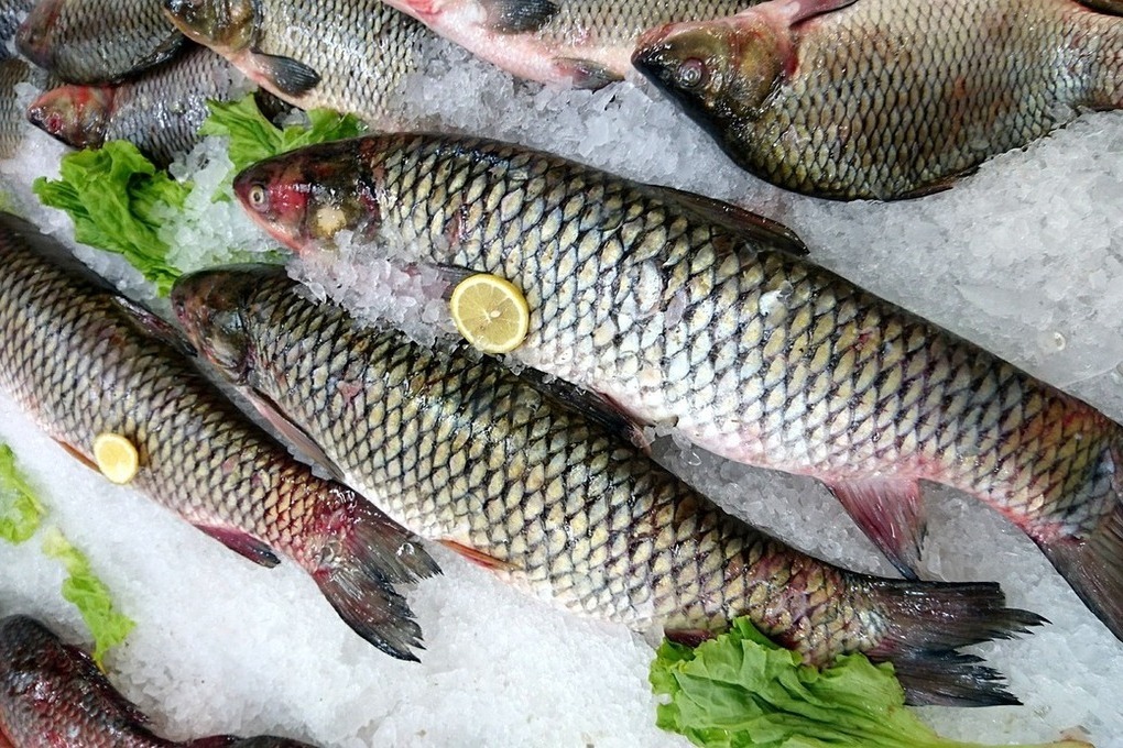 Scegliere il Pesce Giusto: 4 Segni per una Cena Salutare e Sostenibile
