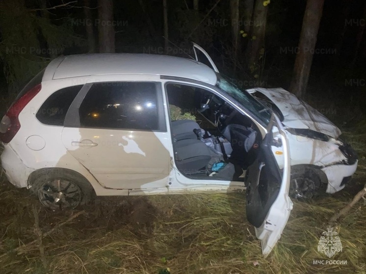 Белая Lada Kalina опрокинулась в кювет в Жуковском районе