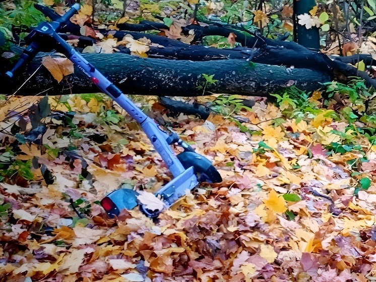 В Чебоксарах школьник разобрал арендованный самокат и спрятал его в лесу