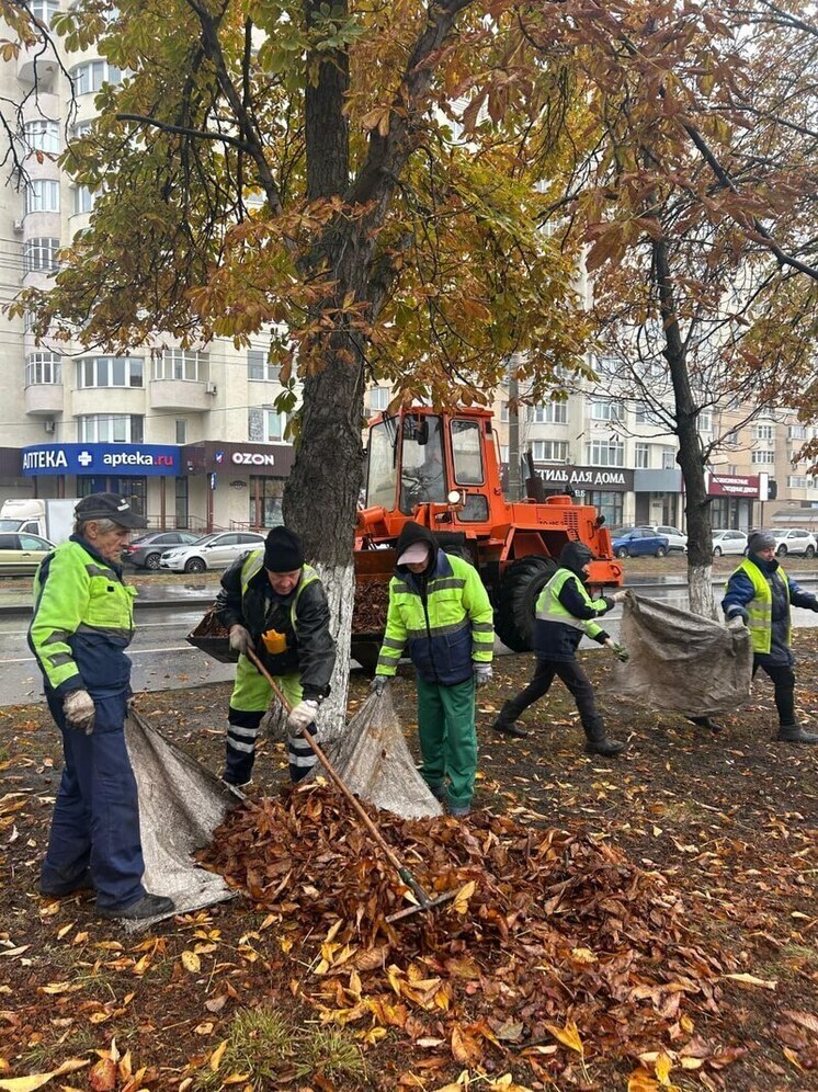 Осенняя уборка листвы: три приоритета для городских служб Пензы