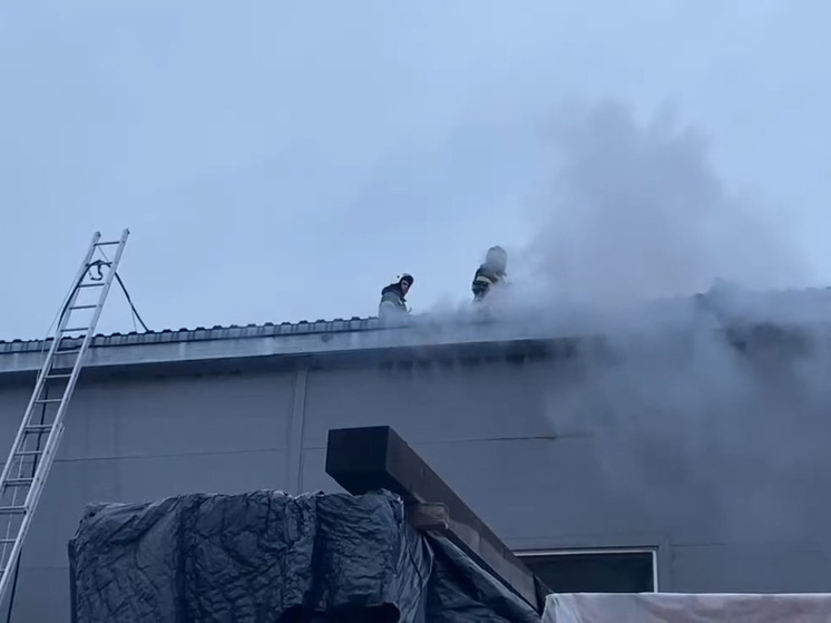 В Мурино пожарные тушили складское здание из сэндвич-панелей
