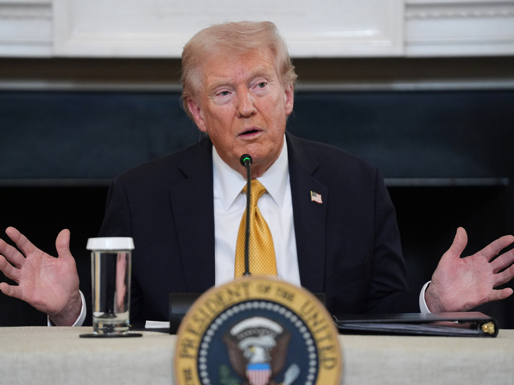 Трамп заявил, что все торговые переговоры с Канадой "прекращены" из-за рекламы, критикующей введенные им тарифы