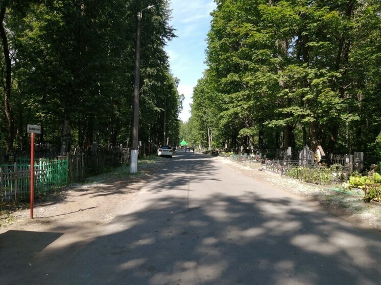 Абаканцы под покровом ночи вывозят мусор на городское кладбище