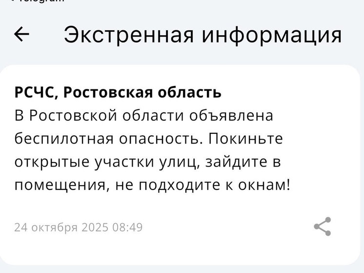 В Ростовской области 24 октября был введен режим угрозы беспилотных атак