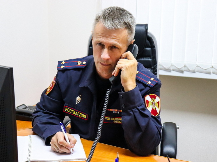 Прямая телефонная линия с врио начальника вневедомственной охраны Росгвардии состоялась в Марий Эл