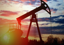Администрация Трампа одобрила расширение бурения нефтяных и газовых скважин в Арктическом национальном заповеднике дикой природы Аляски (ANWR), что вызвало широкую критику со стороны природоохранных организаций