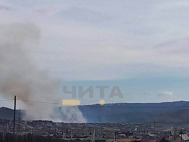 Трава загорелась в поселке Новокручининский в Забайкалье