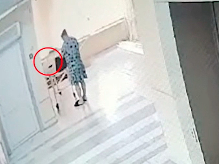 В Липецке забытое портмоне обернулось уголовным делом