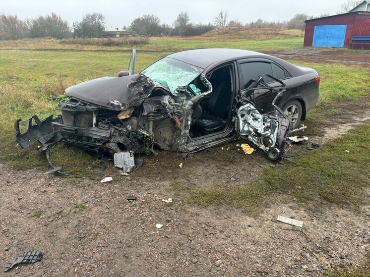 В Воронежской области иномарка влетела во встречный КамАЗ