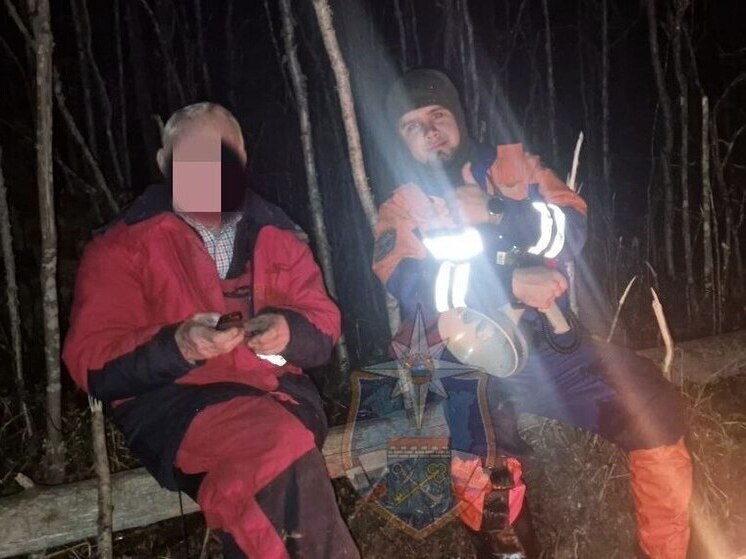 Спасатели и волонтеры искали заблудившегося грибника в лесу в Лужском районе