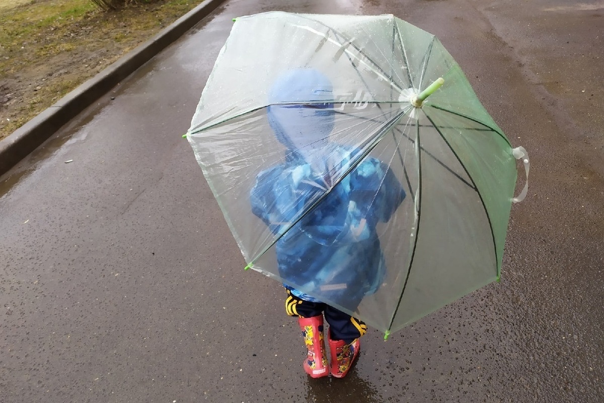 Вологодские семьи продолжат получать меры поддержки и в 2026 году