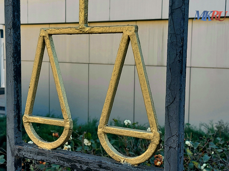 Калужанка за несколько месяцев легализовала 11 мигрантов