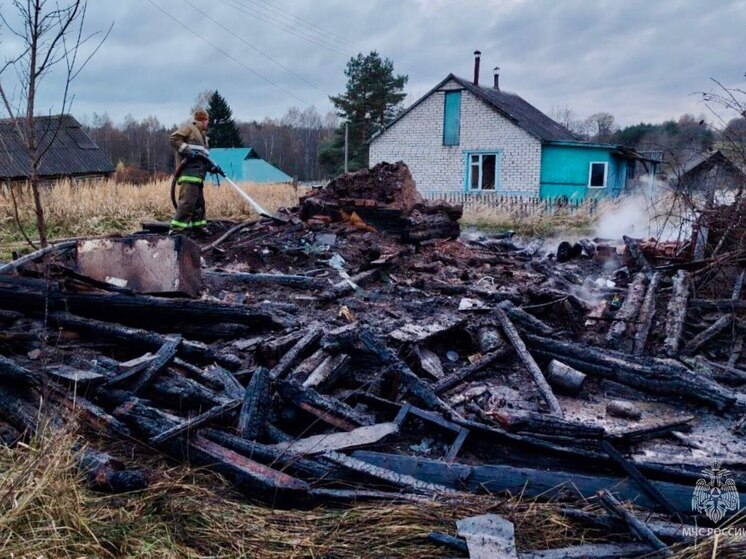 За сутки в Псковской области потушены два пожара в жилых домах