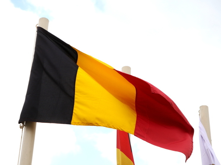 Politico: позиция Бельгии по использованию активов РФ застала ЕС врасплох