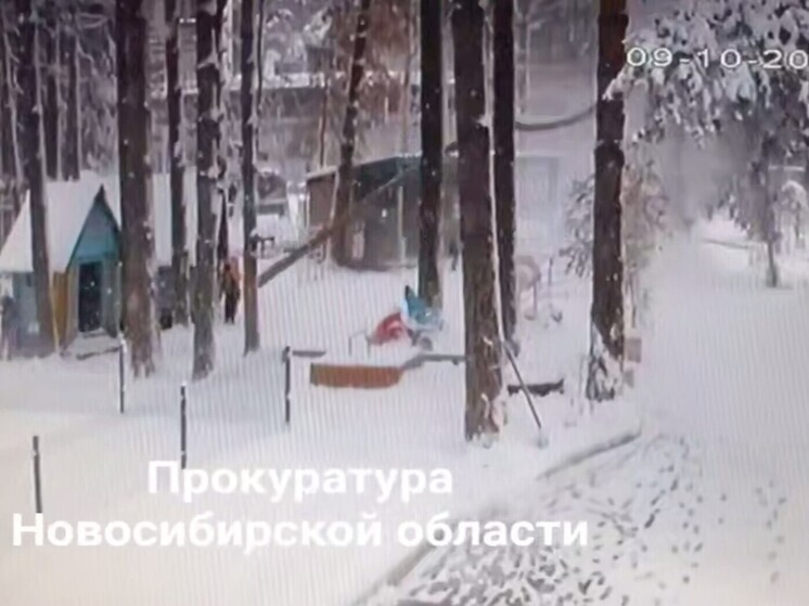 Опубликованы кадры падения сосны на мальчика в детском саду в Новосибирске