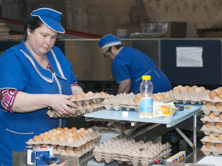 Ивановская область показала рост животноводческой продукции