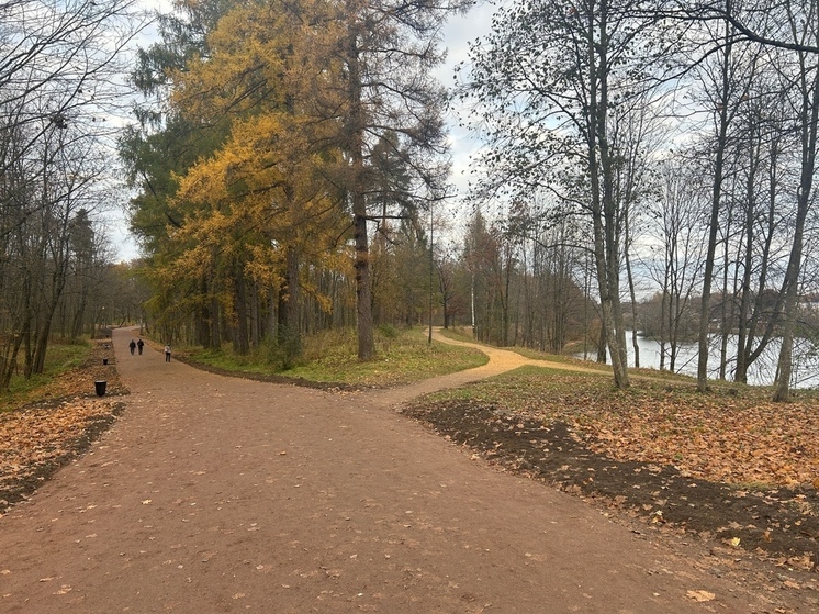 В Приоратском парке отремонтировали более тысячи погонных метров дорожек