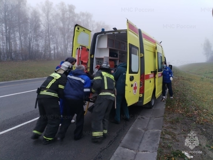 В Орловском округе сотрудники МЧС помогли транспортировать больного до машины скорой помощи