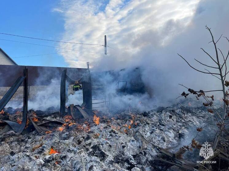 11 пожарных потушили загоревшуюся постройку в Советском районе Волгограда