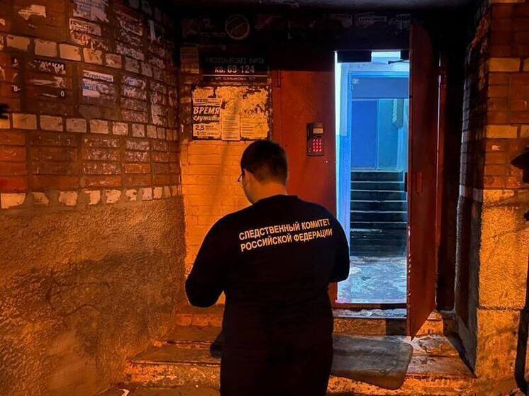 СК выясняет обстоятельства гибели двух воронежцев на пожаре