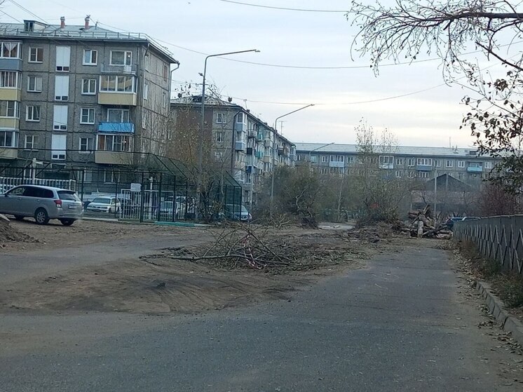 В Улан-Удэ вырубили аллею тополей во время замены бордюров