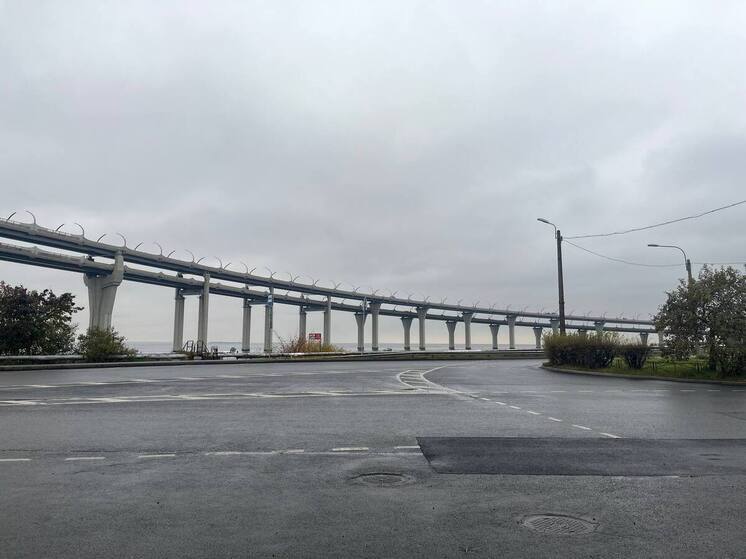 Солнце в Петербурге не появится из-за барической депрессии