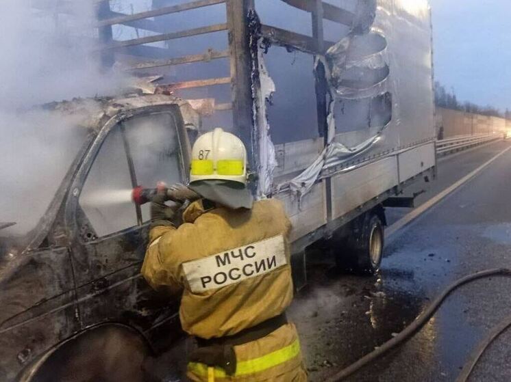 На автодороге М-11 в Тосненском районе горел грузовой автомобиль
