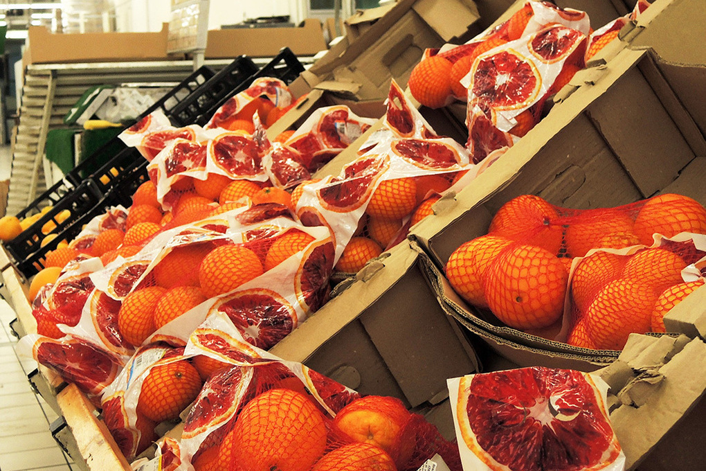 Цены на апельсины и мандарины в нынешнем году снизились