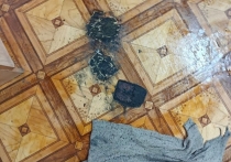 На уроке в школе №13 Донецка произошел инцидент с шестиклассником из Ростовской области: загорелся его смартфон