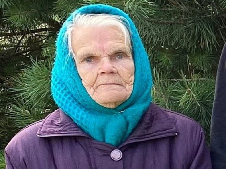 В Тульской области ищут пропавшую 86-летнюю старушку