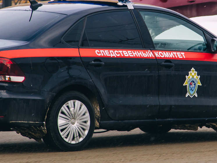 Экс-глава Ростова-на-Дону Логвиненко задержан по делу о превышении полномочий