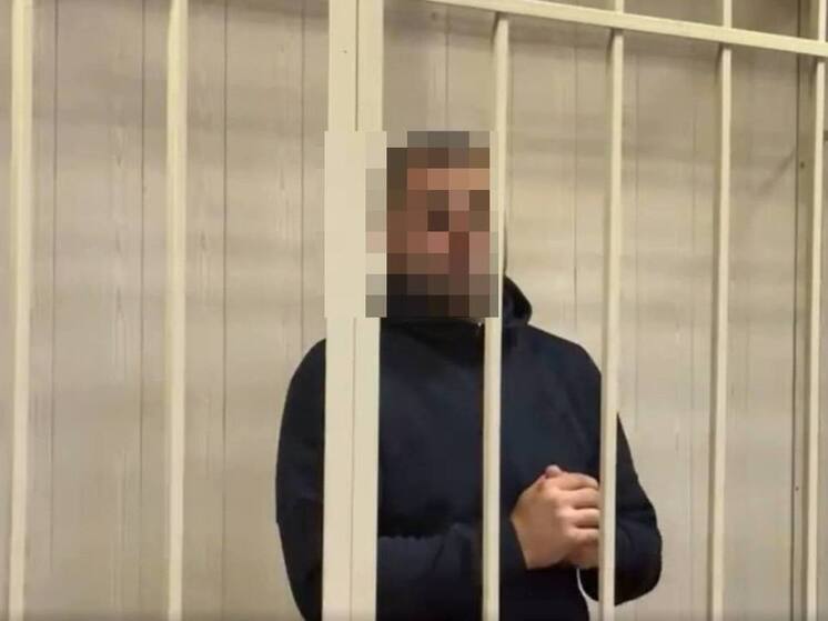 Организатора незаконной свалки на «Невском пятачке» отправили в СИЗО