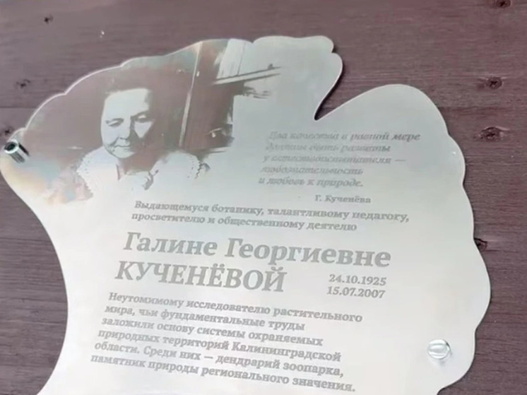 В Калининграде появилась памятная табличка в честь спасшей дерево гинкго биолога
