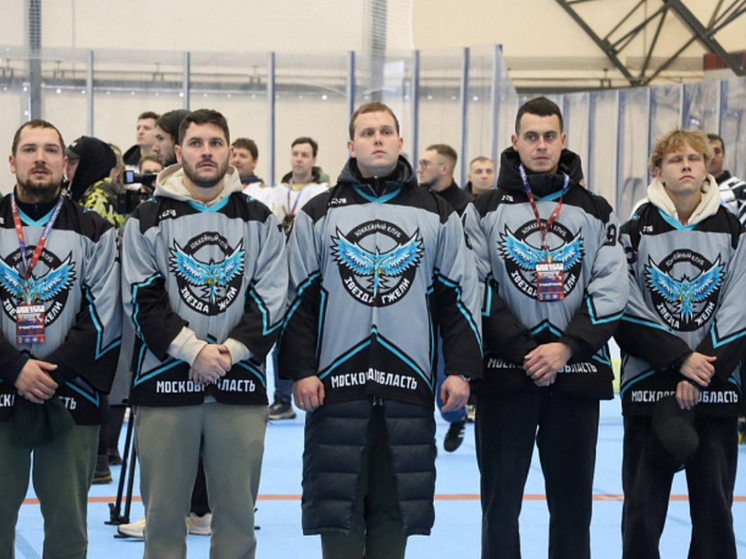Семь команд борются за победу в чемпионате России по хоккею на роликах в Туле