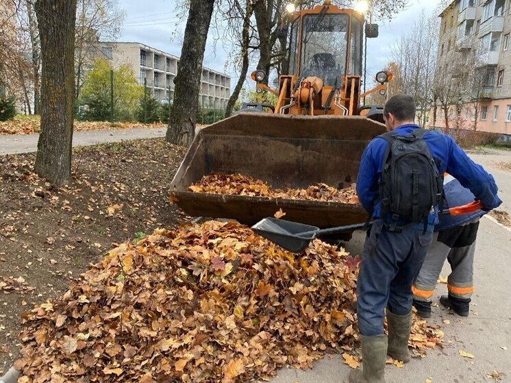 Валдайские коммунальщики всю неделю боролись с листопадом