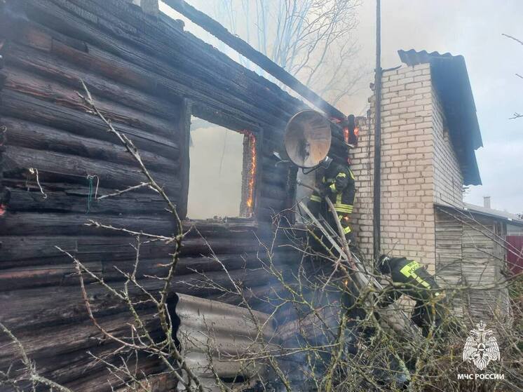 Пожарные тушили полыхающий жилой дом в Тверской области