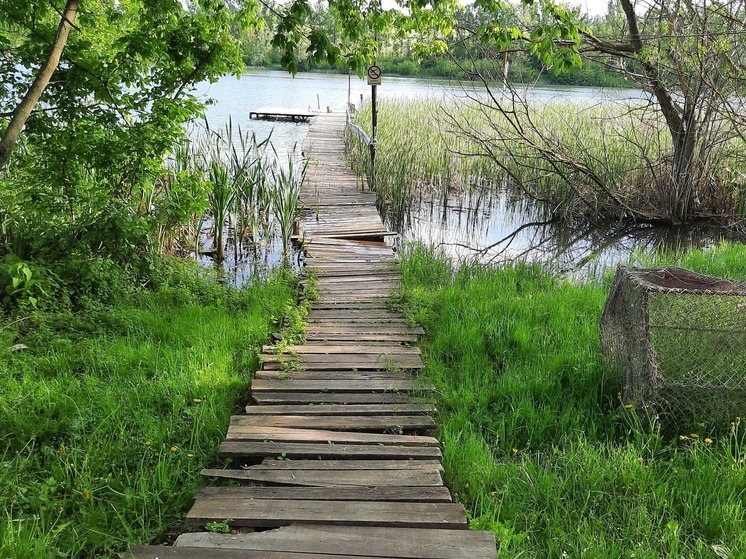 Порядка четырехсот миллионов рублей выделено на экологическое благополучие ЛНР