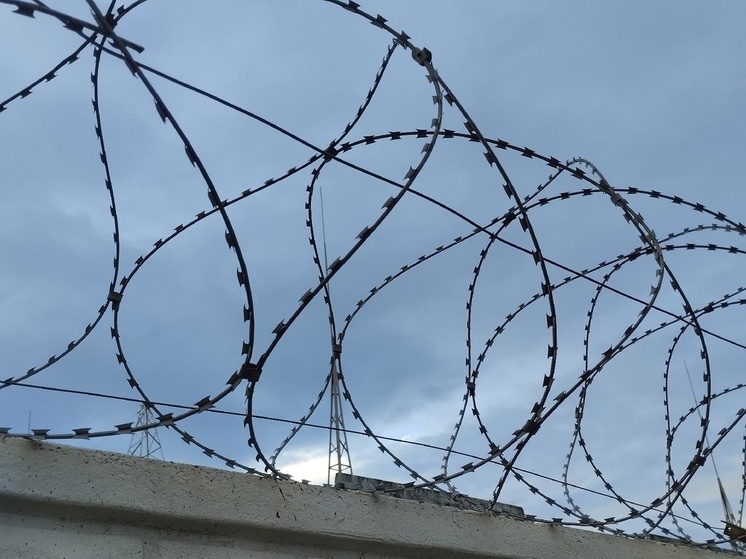 Жителя Амвросиевки ждет до 10 лет тюрьмы за крупную партию марихуаны