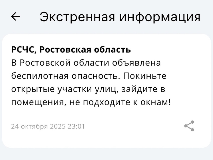 В Ростовской области объявили беспилотную опасность 24 октября