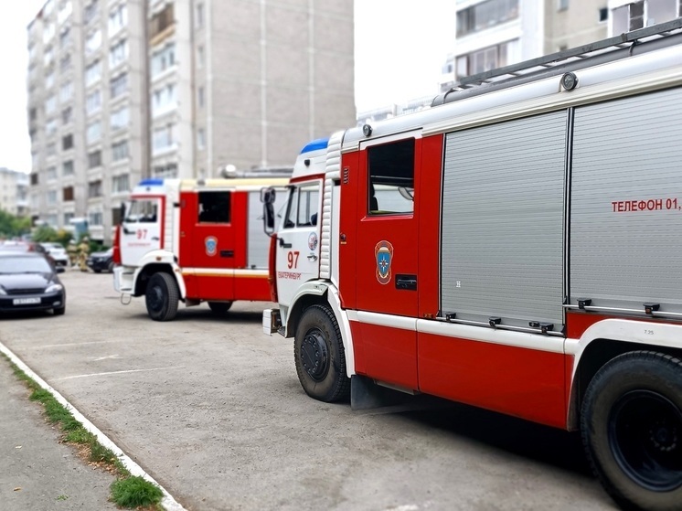 Отходы от распилки леса горели в Туринске