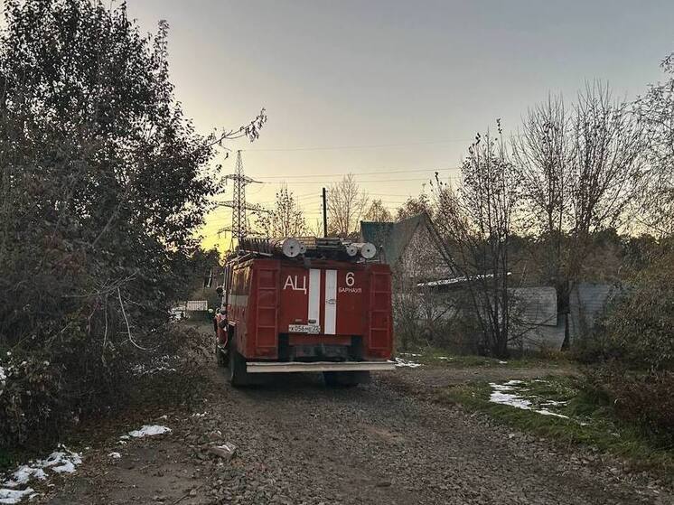 В Алтайском крае за одни сутки произошло 17 возгораний сухой травы