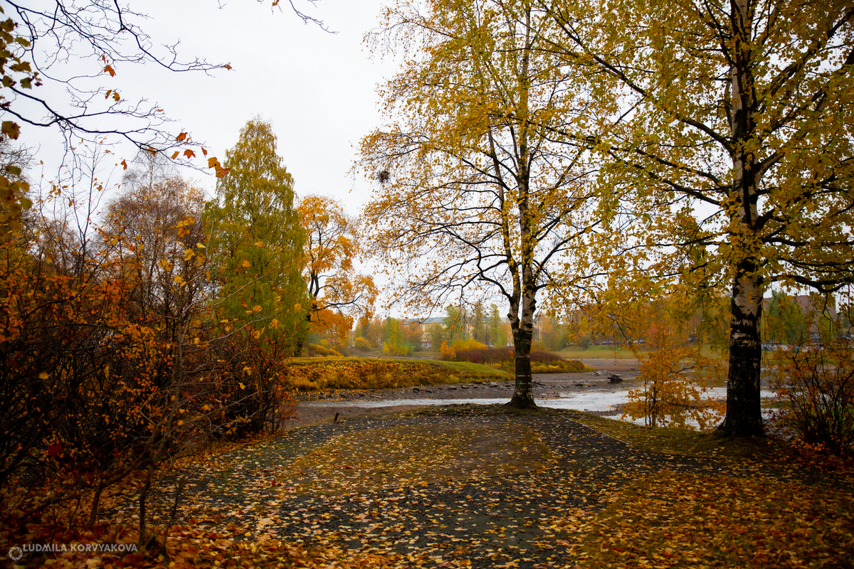 На субботу 25 октября для жителей Карелии обещает теплую погоду