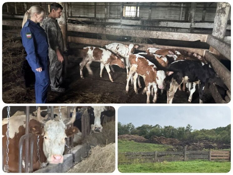 Колхоз ЕАО наказали за нарушения в утилизации отходов и содержании животных