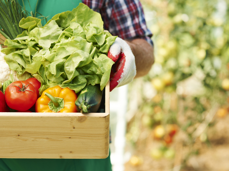 Учёные перечислили продукты, которые приводят к медленной смерти